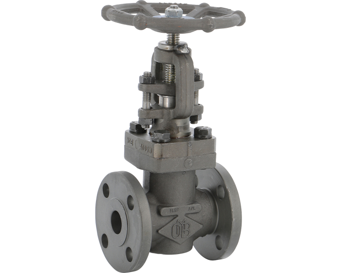 Carbon steel A105N globe valve 440 TRIM 5 150 lbs RF 1/2''